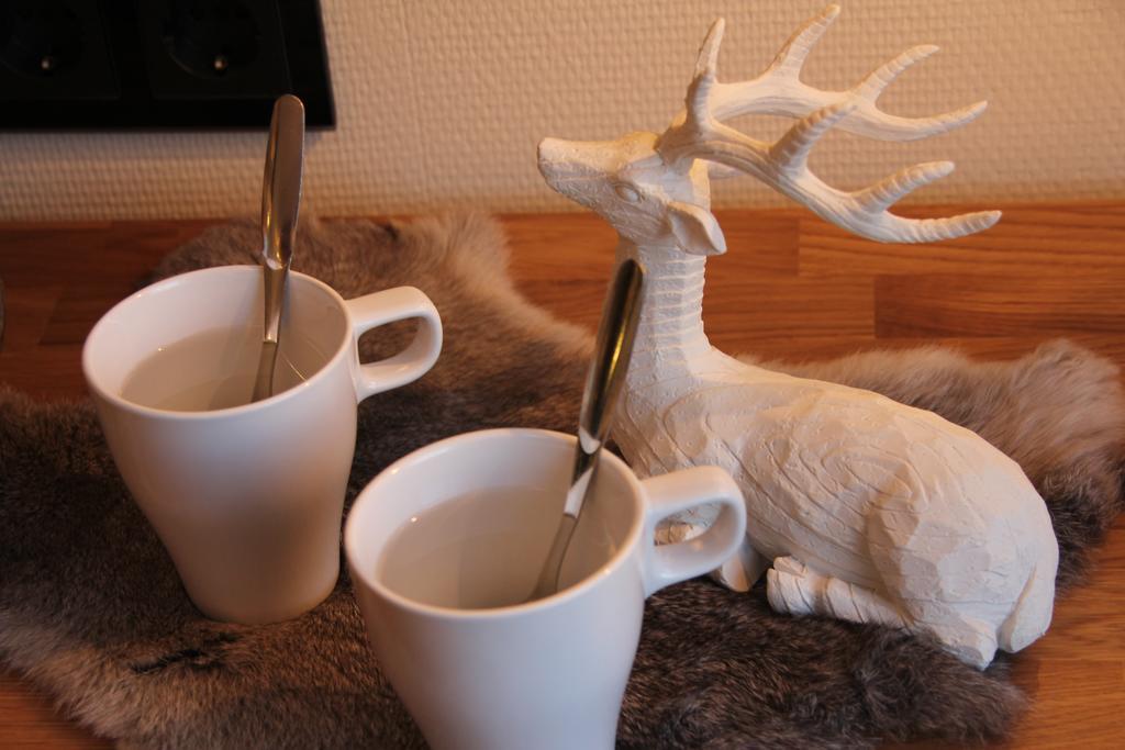 Hotel Aakenus Rovaniemi Dış mekan fotoğraf